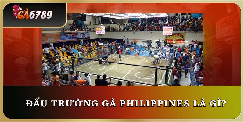 Định nghĩa về đấu trường gà Philippines là gì? Định nghĩa về đấu trường gà Philippines là gì?