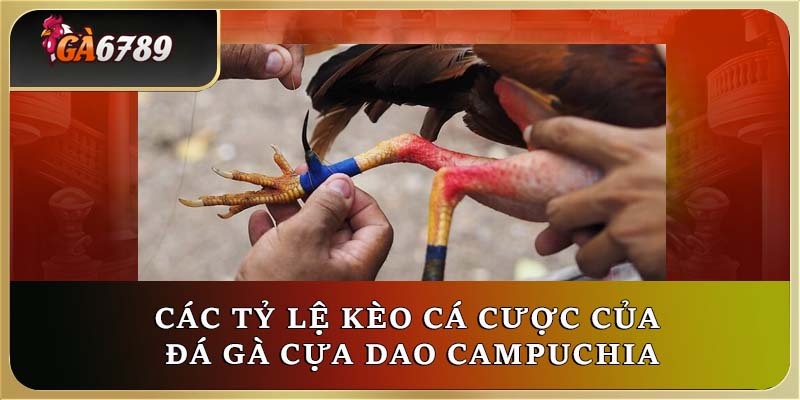 Các tỷ lệ kèo cá cược của đá gà cựa dao Campuchia Các tỷ lệ kèo cá cược của đá gà cựa dao Campuchia