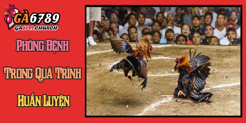 Phòng Bệnh Trong Quá Trình Huấn Luyện Phòng Bệnh Trong Quá Trình Huấn Luyện
