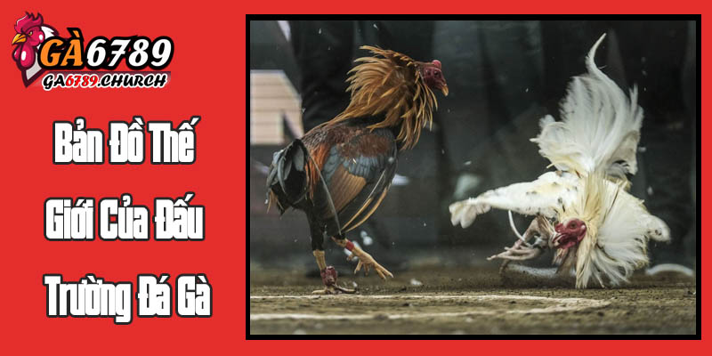 Bản Đồ Thế Giới Của Đấu Trường Đá Gà Bản Đồ Thế Giới Của Đấu Trường Đá Gà