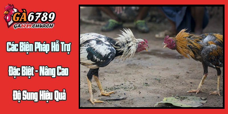 Các Biện Pháp Hỗ Trợ Đặc Biệt - Nâng Cao Độ Sung Hiệu Quả Các Biện Pháp Hỗ Trợ Đặc Biệt - Nâng Cao Độ Sung Hiệu Quả