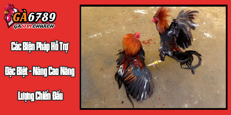 Các Biện Pháp Hỗ Trợ Đặc Biệt - Nâng Cao Năng Lượng Chiến Đấu Các Biện Pháp Hỗ Trợ Đặc Biệt - Nâng Cao Năng Lượng Chiến Đấu