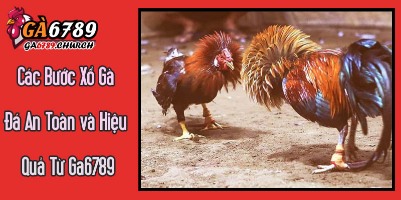 Hướng Dẫn Chi Tiết Các Bước Xổ Gà Đá An Toàn và Hiệu Quả Từ Ga6789 Hướng Dẫn Chi Tiết Các Bước Xổ Gà Đá An Toàn và Hiệu Quả Từ Ga6789