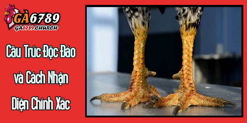 Cấu Trúc Độc Đáo và Cách Nhận Diện Chính Xác Vảy Song Thủ Đao Cấu Trúc Độc Đáo và Cách Nhận Diện Chính Xác Vảy Song Thủ Đao