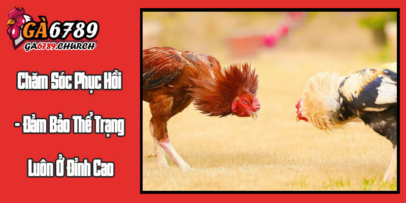 Chăm Sóc Phục Hồi - Đảm Bảo Thể Trạng Luôn Ở Đỉnh Cao Chăm Sóc Phục Hồi - Đảm Bảo Thể Trạng Luôn Ở Đỉnh Cao