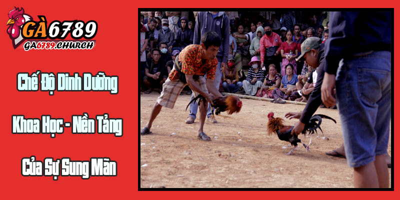 Chế Độ Dinh Dưỡng Khoa Học - Nền Tảng Của Sự Sung Mãn Chế Độ Dinh Dưỡng Khoa Học - Nền Tảng Của Sự Sung Mãn