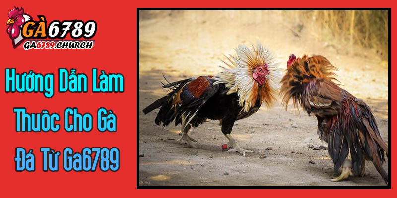 Hướng Dẫn Chi Tiết Một Số Bài Thuốc Tự Nhiên Cho Gà Đá Từ Ga6789 Hướng Dẫn Chi Tiết Một Số Bài Thuốc Tự Nhiên Cho Gà Đá Từ Ga6789
