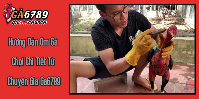 Hướng Dẫn Om Gà Chọi Chi Tiết Từ Chuyên Gia Ga6789 Hướng Dẫn Om Gà Chọi Chi Tiết Từ Chuyên Gia Ga6789