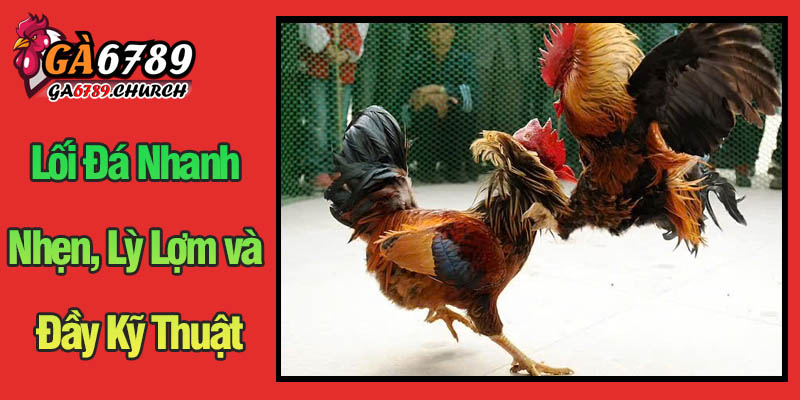 Khám Phá Lối Đá Nhanh Nhẹn, Lỳ Lợm và Đầy Kỹ Thuật Của Gà Đá Roundhead Khám Phá Lối Đá Nhanh Nhẹn, Lỳ Lợm và Đầy Kỹ Thuật Của Gà Đá Roundhead