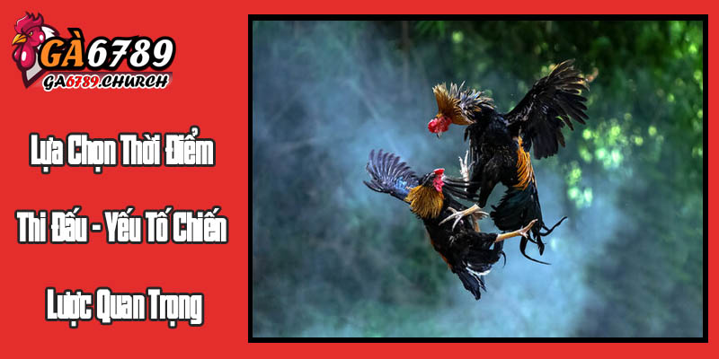 Lựa Chọn Thời Điểm Thi Đấu - Yếu Tố Chiến Lược Quan Trọng Lựa Chọn Thời Điểm Thi Đấu - Yếu Tố Chiến Lược Quan Trọng