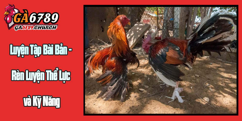 Luyện Tập Bài Bản - Rèn Luyện Thể Lực và Kỹ Năng Luyện Tập Bài Bản - Rèn Luyện Thể Lực và Kỹ Năng