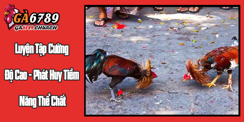 Luyện Tập Cường Độ Cao - Phát Huy Tiềm Năng Thể Chất Luyện Tập Cường Độ Cao - Phát Huy Tiềm Năng Thể Chất