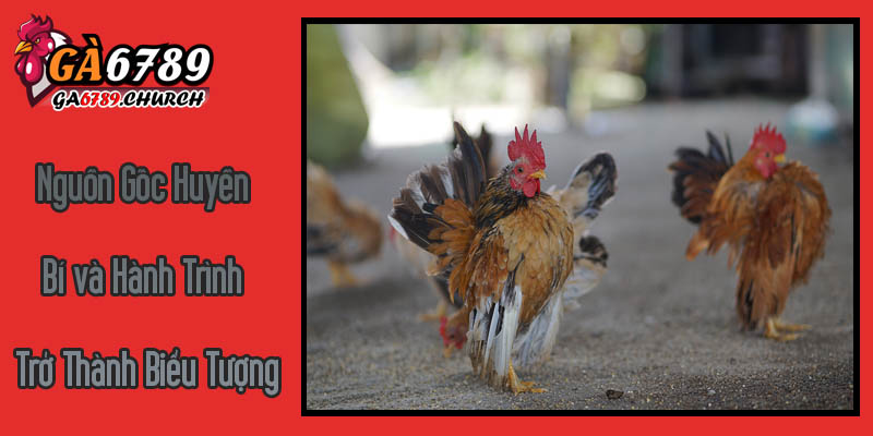 Nguồn Gốc Huyền Bí và Hành Trình Trở Thành Biểu Tượng Của Gà Đá Serama Nguồn Gốc Huyền Bí và Hành Trình Trở Thành Biểu Tượng Của Gà Đá Serama