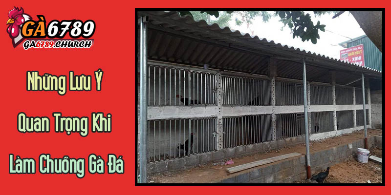 Những Lưu Ý Quan Trọng Để Chuồng Gà Đá Luôn Đạt Tiêu Chuẩn Từ Ga6789 Những Lưu Ý Quan Trọng Để Chuồng Gà Đá Luôn Đạt Tiêu Chuẩn Từ Ga6789