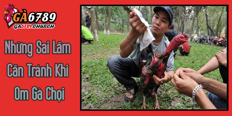 Những Sai Lầm Cần Tránh Khi Om Gà Chọi Những Sai Lầm Cần Tránh Khi Om Gà Chọi