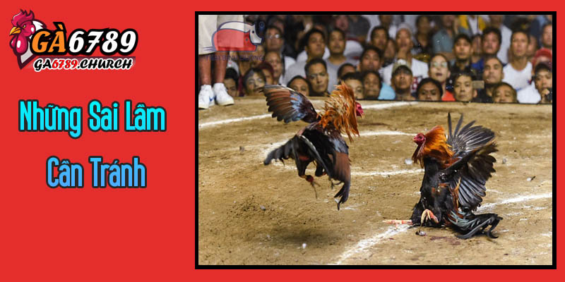Những Sai Lầm Cần Tránh Khi Thực Hiện Hướng Dẫn Làm Thuốc Cho Gà Đá Những Sai Lầm Cần Tránh Khi Thực Hiện Hướng Dẫn Làm Thuốc Cho Gà Đá