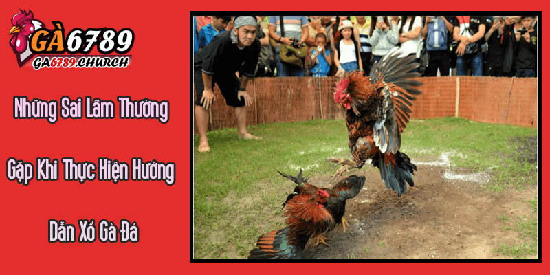 Những Sai Lầm Thường Gặp Khi Thực Hiện Hướng Dẫn Xổ Gà Đá Những Sai Lầm Thường Gặp Khi Thực Hiện Hướng Dẫn Xổ Gà Đá