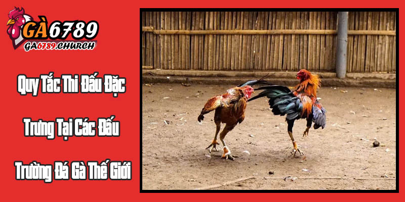 Quy Tắc Thi Đấu Đặc Trưng Tại Các Đấu Trường Đá Gà Thế Giới Quy Tắc Thi Đấu Đặc Trưng Tại Các Đấu Trường Đá Gà Thế Giới