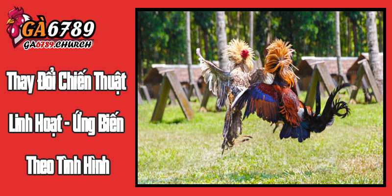 Thay Đổi Chiến Thuật Linh Hoạt - Ứng Biến Theo Tình Hình Thay Đổi Chiến Thuật Linh Hoạt - Ứng Biến Theo Tình Hình