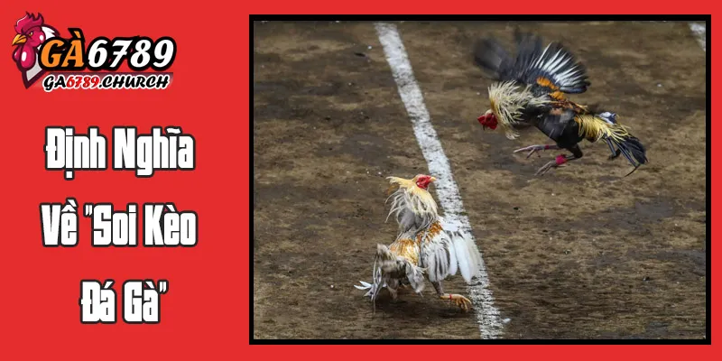 Định Nghĩa Về "Soi Kèo Đá Gà"