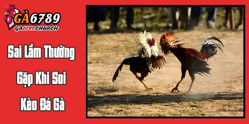 Sai Lầm Thường Gặp Khi Soi Kèo Đá Gà Và Cách Khắc Phục