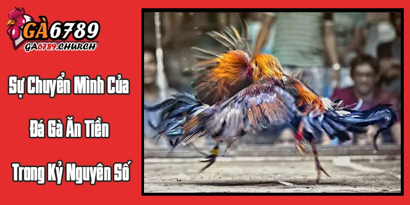 Sự Chuyển Mình Của Đá Gà Ăn Tiền Trong Kỷ Nguyên Số