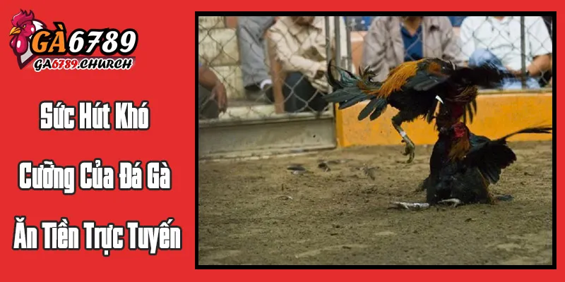 Sức Hút Khó Cưỡng Của Đá Gà Ăn Tiền Trực Tuyến