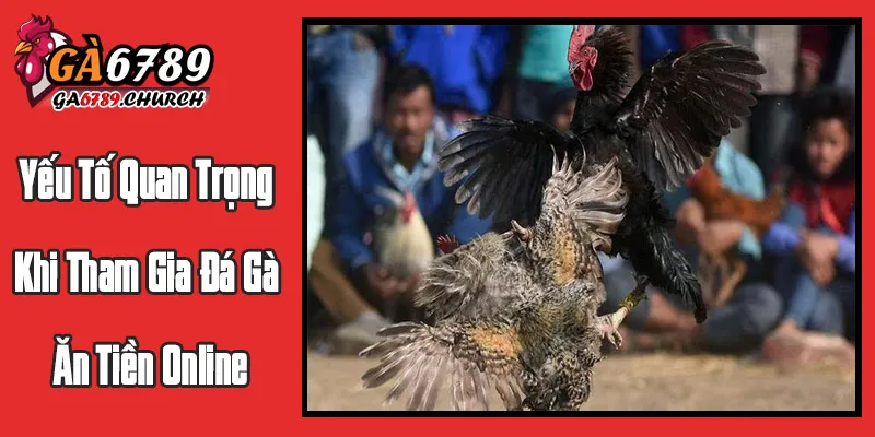 Những Yếu Tố Quan Trọng Khi Tham Gia Đá Gà Ăn Tiền Online