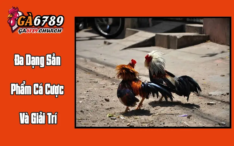 Đa Dạng Sản Phẩm Cá Cược Và Giải Trí Đa Dạng Sản Phẩm Cá Cược Và Giải Trí