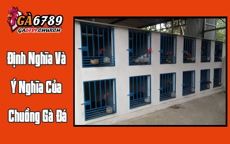 Định Nghĩa Và Ý Nghĩa Của Chuồng Gà Đá Tiêu Chuẩn
