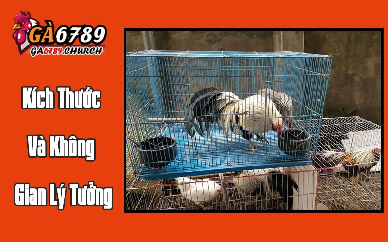 Kích Thước Và Không Gian Lý Tưởng