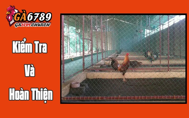 Kiểm Tra Và Hoàn Thiện