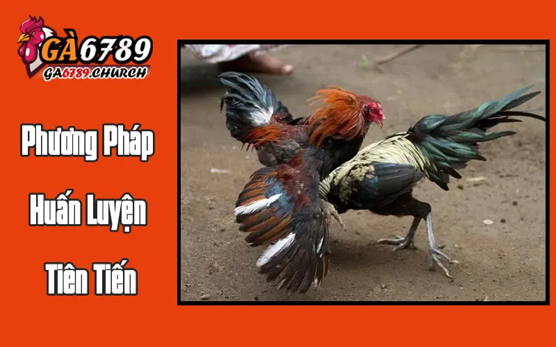 Phương Pháp Huấn Luyện Tiên Tiến