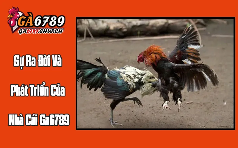 Sự Ra Đời Và Phát Triển Của Nhà Cái Ga6789 Sự Ra Đời Và Phát Triển Của Nhà Cái Ga6789